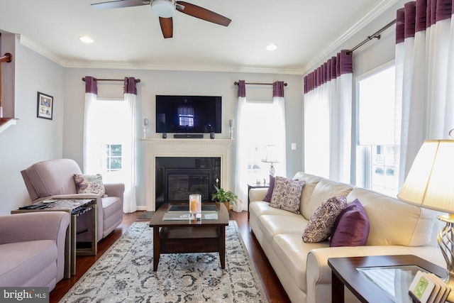 1712 Renaissance Dr, Baltimore, MD 21221 - living room featuring healthy amount of natural light, wood finished floors, ceiling fan, crown molding, and a glass covered fireplace