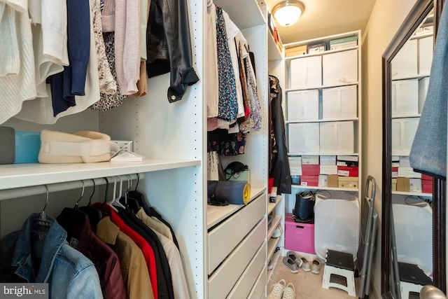 1712 Renaissance Dr, Baltimore, MD 21221 - spacious closet featuring light colored carpet