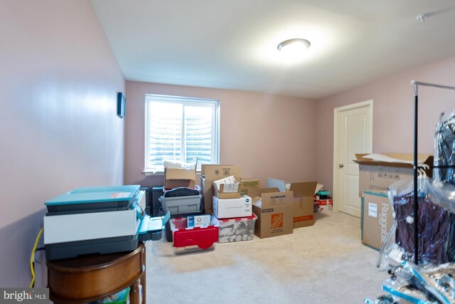 1712 Renaissance Dr, Baltimore, MD 21221 - view of storage