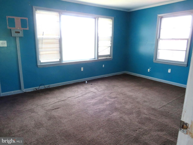 208 Cove St, Crisfield, MD 21817 - unfurnished room with plenty of natural light, carpet, and ornamental molding