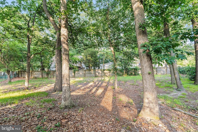 71 Winfield Rd, Sicklerville, NJ 08081 - view of fenced backyard