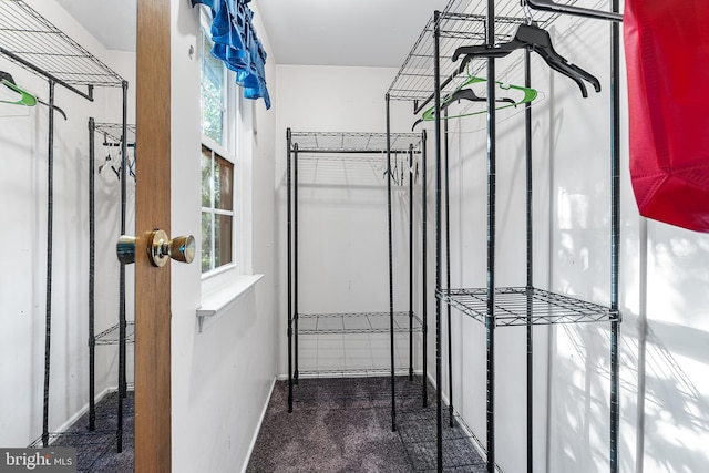 71 Winfield Rd, Sicklerville, NJ 08081 - walk in closet with carpet floors