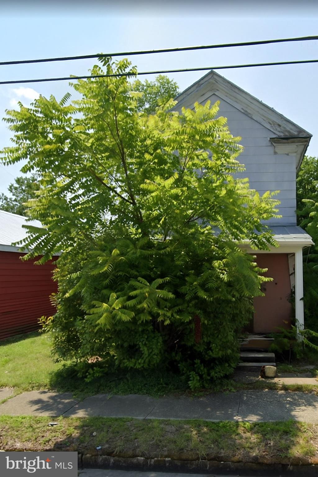 204 Academy Ave, Federalsburg, MD 21632 - view of front of property