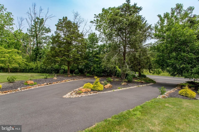 175 Pullen Station Rd, Quakertown, PA 18951 - view of road