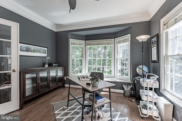 12655 Arthur Graves Jr Ct, Bristow, VA 20136 - home office featuring ornamental molding and wood finished floors