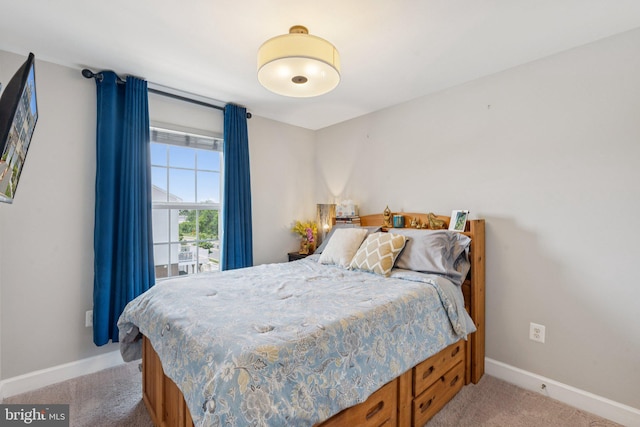 9924 Whitemoss Dr, Manassas, VA 20109 - bedroom featuring light colored carpet