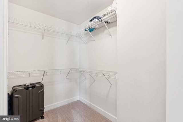 9924 Whitemoss Dr, Manassas, VA 20109 - spacious closet featuring carpet flooring