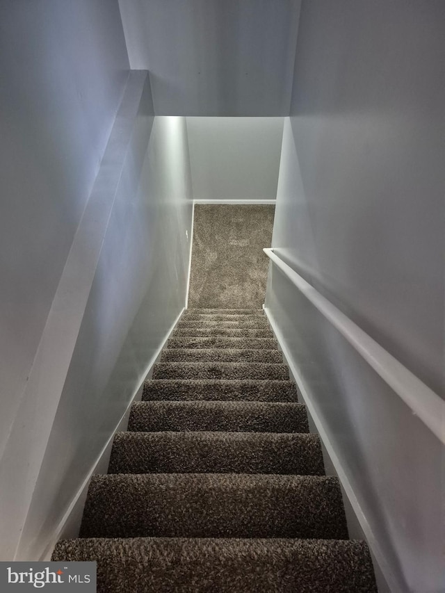 173 Ranson Estates Cir, Ranson, WV 25438 - stairs with carpet