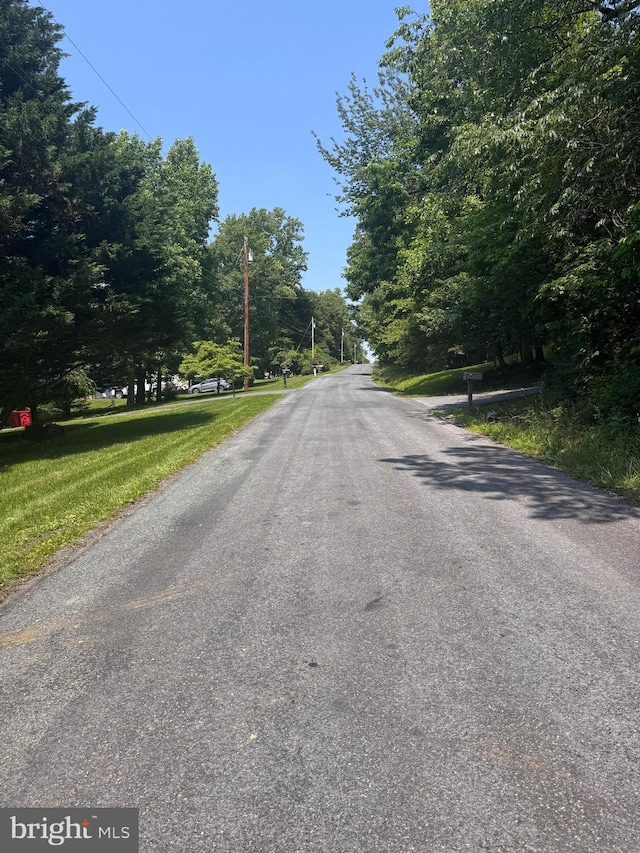 38 Diane Trl, Fairfield, PA 17320 - view of asphalt street