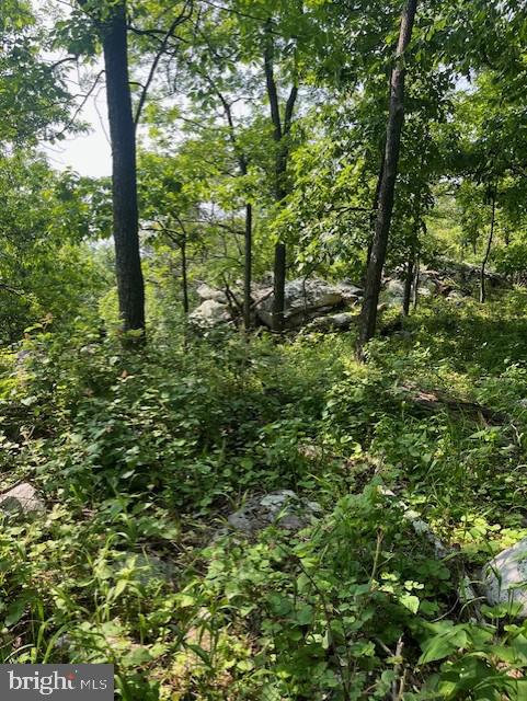 Reed Rd, Knoxville, MD 21758