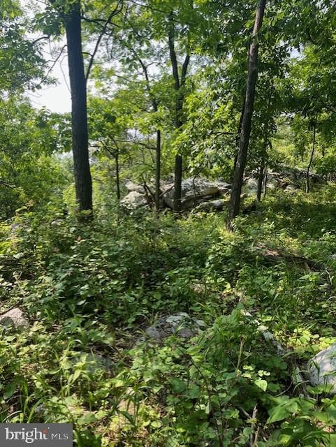 Reed Rd, Knoxville, MD 21758