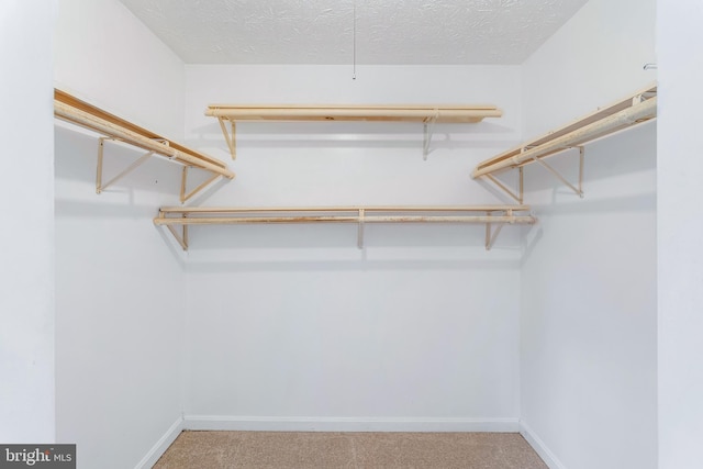 1240 Windmill Ln, Silver Spring, MD 20905 - walk in closet with carpet flooring