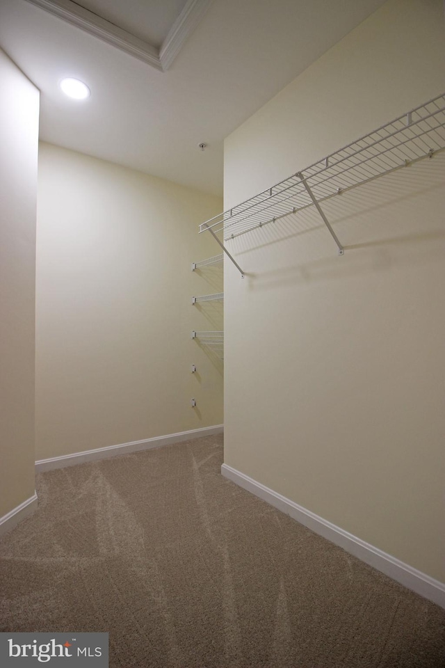3655 Islington St, Frederick, MD 21704 - spacious closet featuring carpet floors