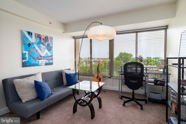 2001 Hamilton St Unit 925, Philadelphia, PA 19130 - office space featuring carpet floors and baseboards