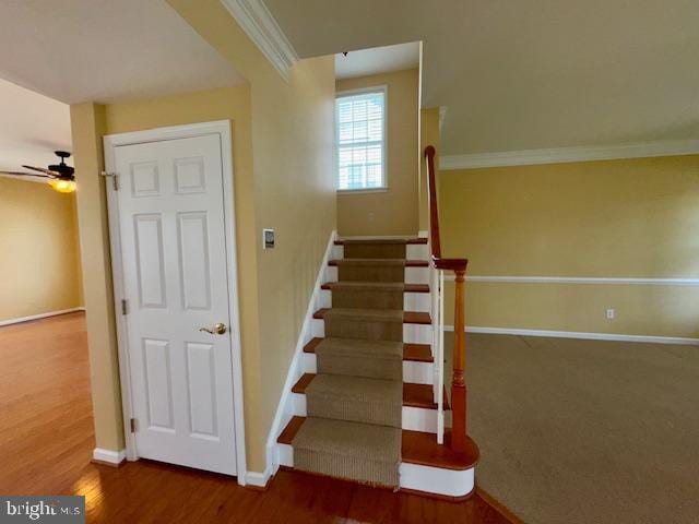 12410 Coastal Marsh Dr, Berlin, MD 21811 - stairs with ceiling fan, ornamental molding, and wood finished floors