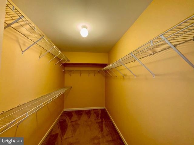 12410 Coastal Marsh Dr, Berlin, MD 21811 - walk in closet featuring carpet flooring