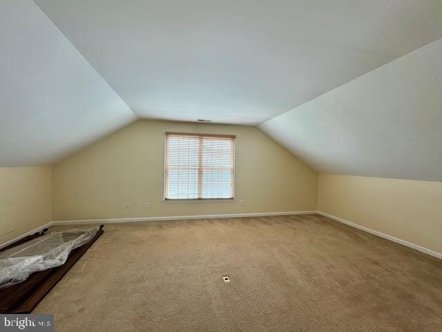 12410 Coastal Marsh Dr, Berlin, MD 21811 - bonus room featuring vaulted ceiling and carpet