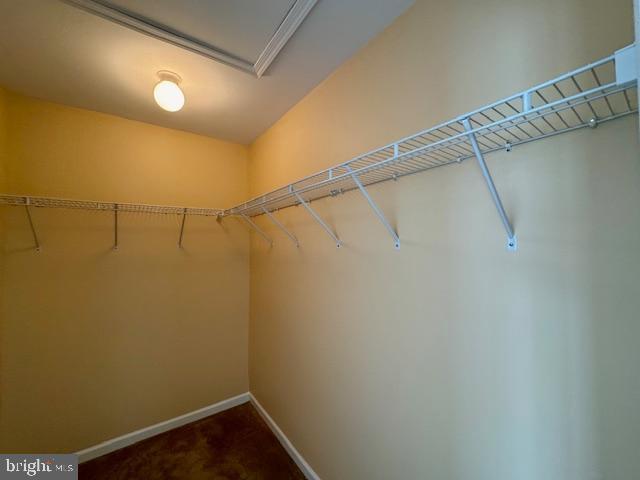 12410 Coastal Marsh Dr, Berlin, MD 21811 - walk in closet featuring dark colored carpet and attic access