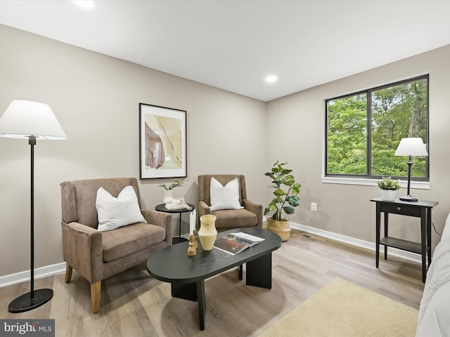 9124 Goldamber Garth, Columbia, MD 21045 - living area with light wood-type flooring and recessed lighting