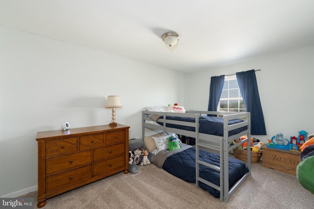 219 Flint Hill Rd, Alburtis, PA 18011 - view of carpeted bedroom