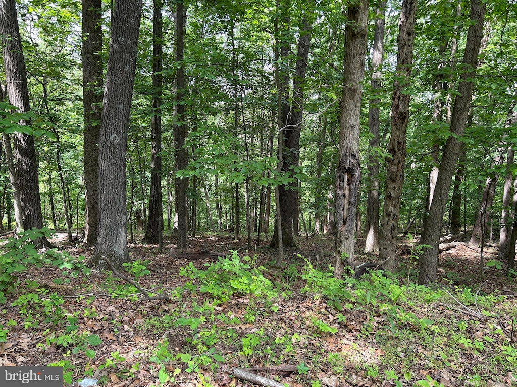 0 Ehlers Dr, Front Royal, VA 22630
