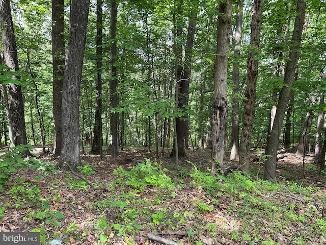 0 Ehlers Dr, Front Royal, VA 22630