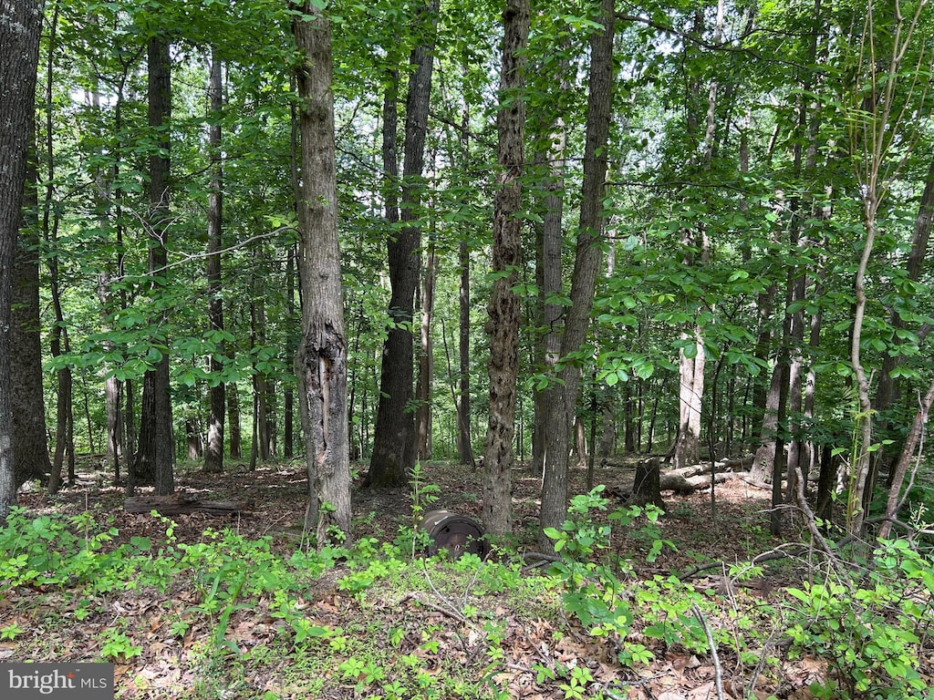 0 Ehlers Dr, Front Royal, VA 22630