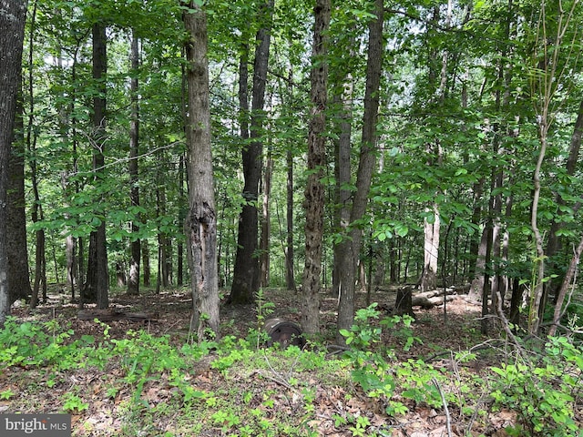 0 Ehlers Dr, Front Royal, VA 22630