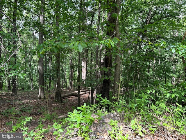 0 Ehlers Dr, Front Royal, VA 22630