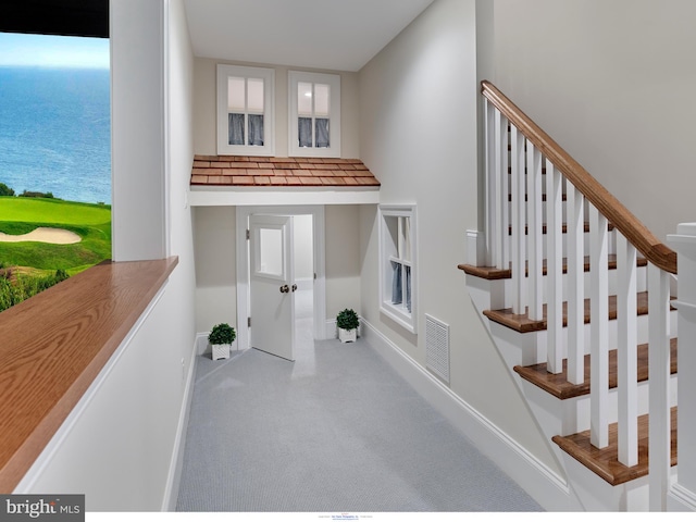 204 Walnut Tree Ln, Malvern, PA 19355 - staircase with carpet floors and a water view