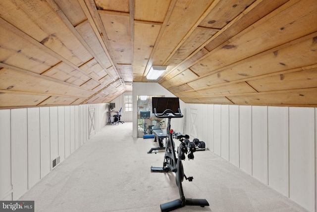 6018 25th Rd N, Arlington, VA 22207 - workout room with lofted ceiling
