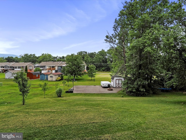 15606 Winslow St SW, Cresaptown, MD 21502 - view of green lawn with a shed and a trampoline