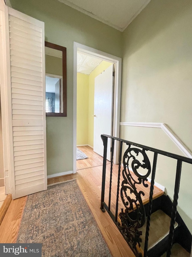3427 Livingston St, Philadelphia, PA 19134 - hallway featuring wood finished floors and an upstairs landing