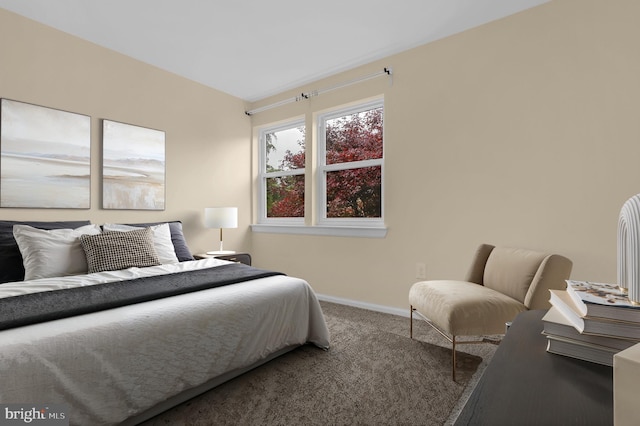 11920 Roan Ln, North Potomac, MD 20878 - bedroom featuring carpet floors and baseboards