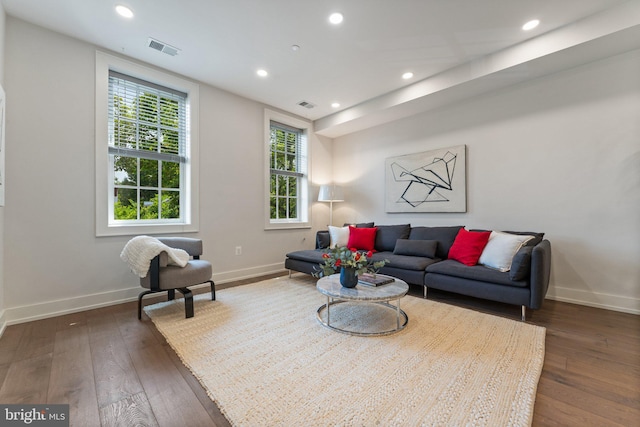 417 4th St SE Unit 2, Washington, DC 20003 - living area with wood-type flooring and recessed lighting