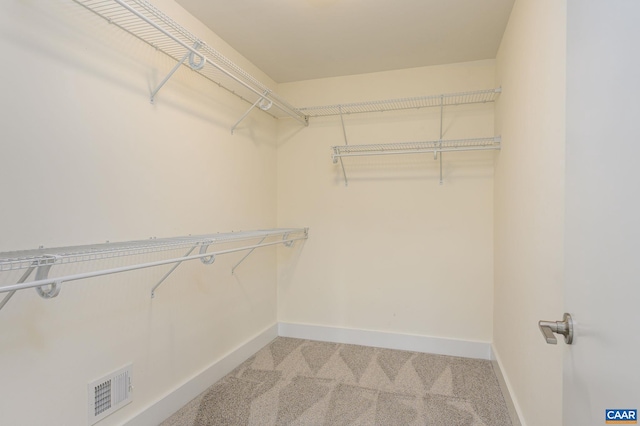 407 Fennel Rd, Crozet, VA 22932 - walk in closet featuring light colored carpet