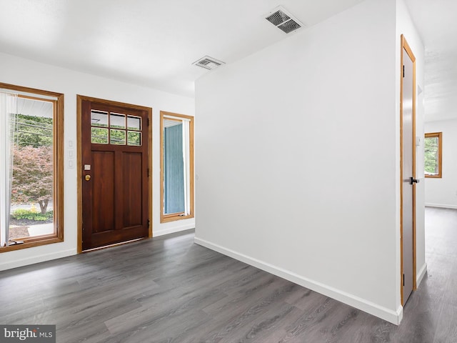 261 W Chestnut Hill Rd, Newark, DE 19713 - foyer with dark wood-style flooring and healthy amount of natural light