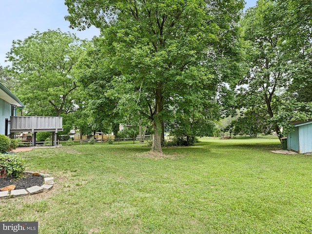 261 W Chestnut Hill Rd, Newark, DE 19713 - view of green lawn