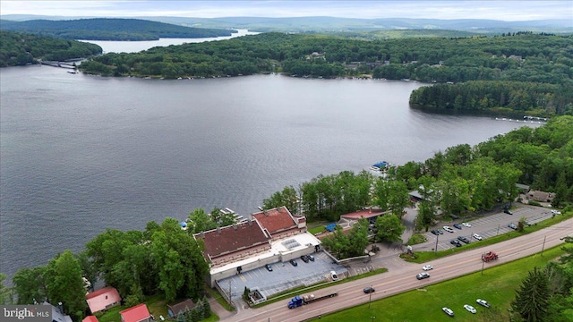 20160 Garrett Hwy Unit H708, Oakland, MD 21550 - drone / aerial view of a forest and a nearby body of water