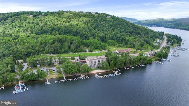 20160 Garrett Hwy Unit H708, Oakland, MD 21550 - drone / aerial view of a nearby body of water and a heavily wooded area