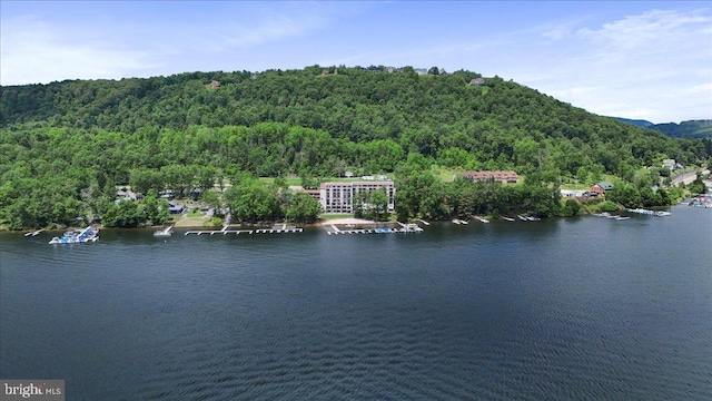 20160 Garrett Hwy Unit H708, Oakland, MD 21550 - water view featuring a forest