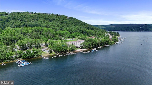 20160 Garrett Hwy Unit H708, Oakland, MD 21550 - water view featuring a forest