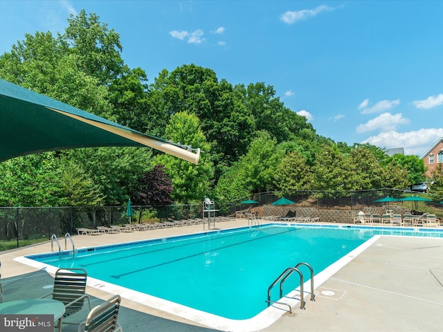 15164 Santander Dr, Gainesville, VA 20155 - view of community pool