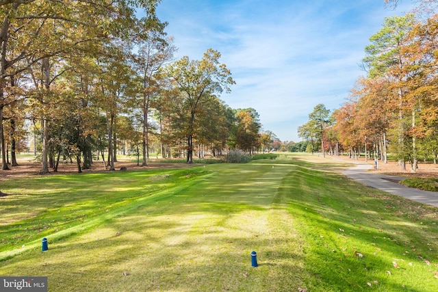4 Bunkers Ct, Grasonville, MD 21638 - view of property's community with a yard and view of wooded area