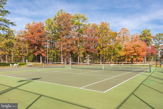 4 Bunkers Ct, Grasonville, MD 21638 - view of tennis court with community basketball court