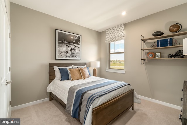 2112 Abboccato Ter SE, Leesburg, VA 20175 - carpeted bedroom with baseboards