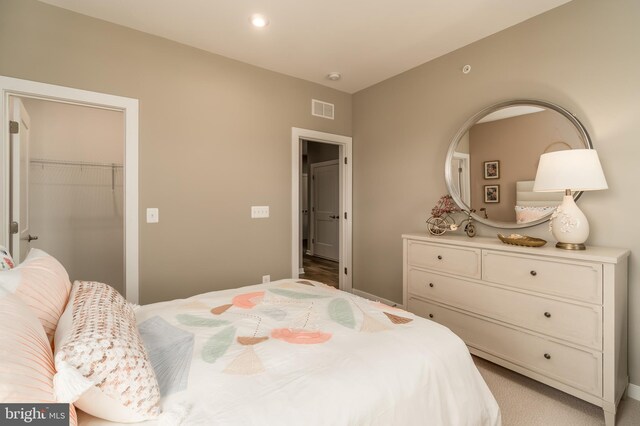 2112 Abboccato Ter SE, Leesburg, VA 20175 - bedroom with a walk in closet and a closet