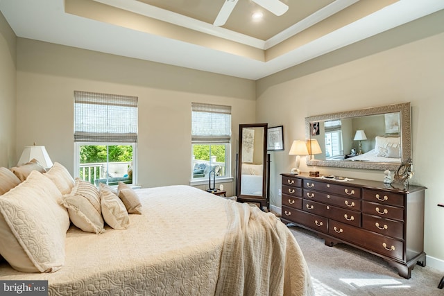 621 Thomas Penn Dr, West Grove, PA 19390 - bedroom featuring carpet, a raised ceiling, and ceiling fan
