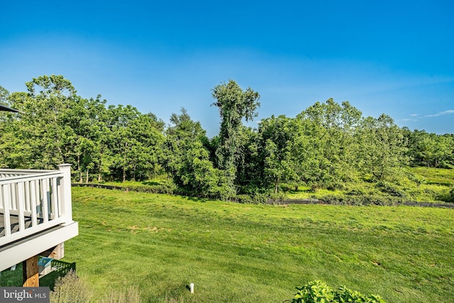 621 Thomas Penn Dr, West Grove, PA 19390 - view of grassy yard