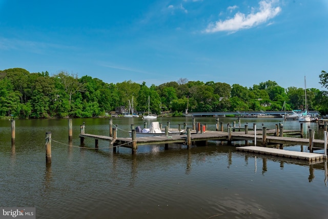 308 Forbes St Unit P, Annapolis, MD 21401 - dock with a water view and a view of trees